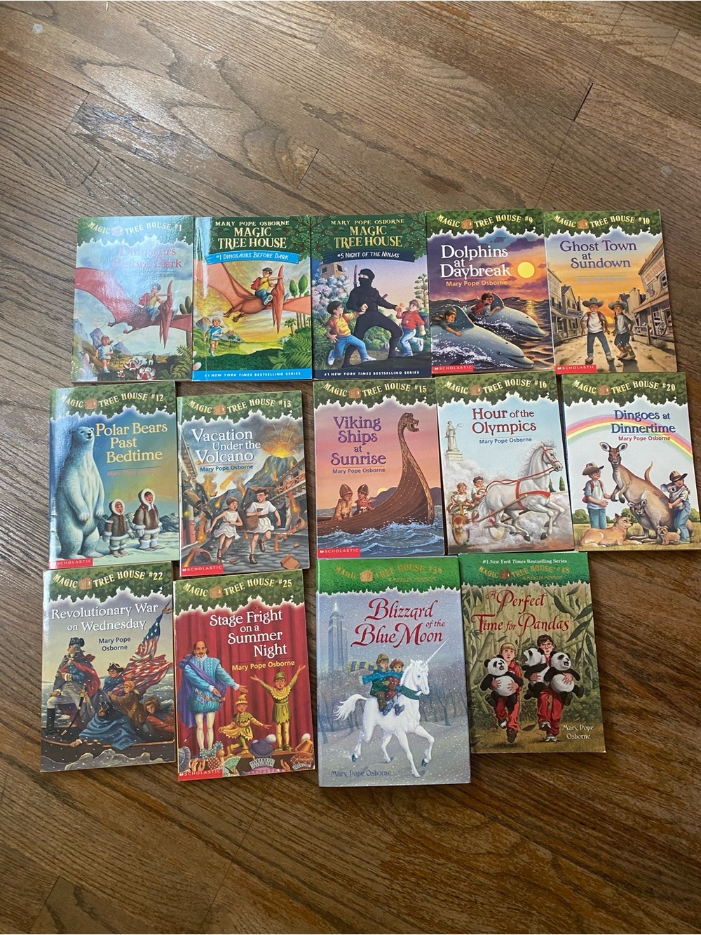 Magic Tree House Book Lot